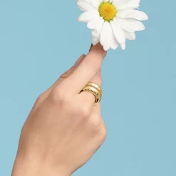 Inner Circle Double Ring -Fashion Accessories inner circle double ring gold 2